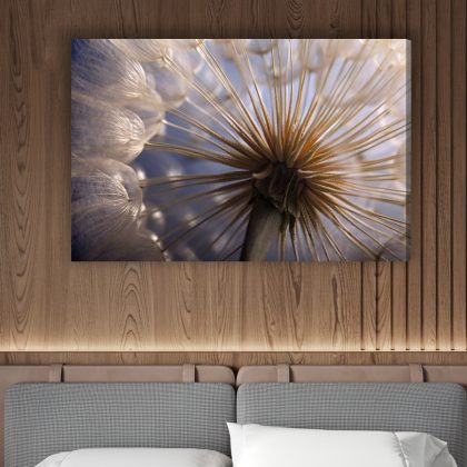 Obraz na plátně Makro pampelišky