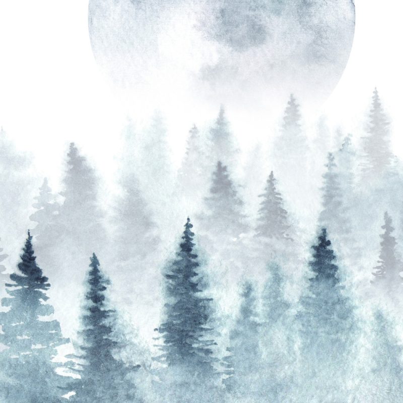Modern canvas wall art: Forest in the mist under the moon – elegant decoration for the living room