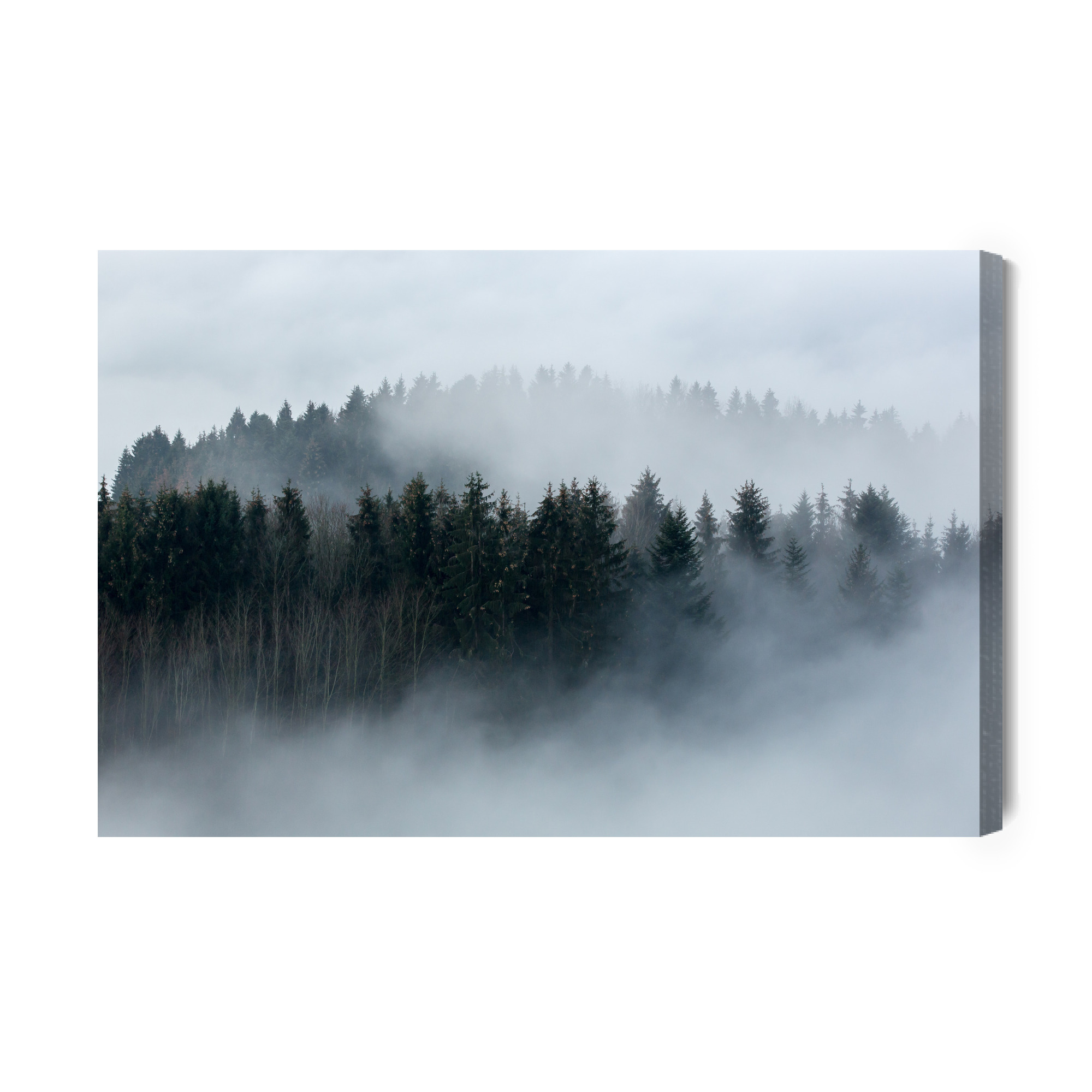Canvas Art: Forest in the Fog – Mysterious Landscape of Nature - Image 2