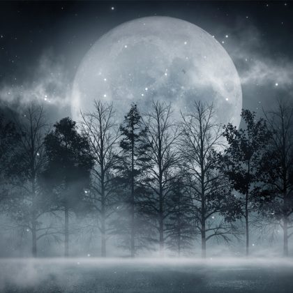 Night Moon over the Forest – Mysterious Modern Canvas Wall Art for Living Room and Bedroom