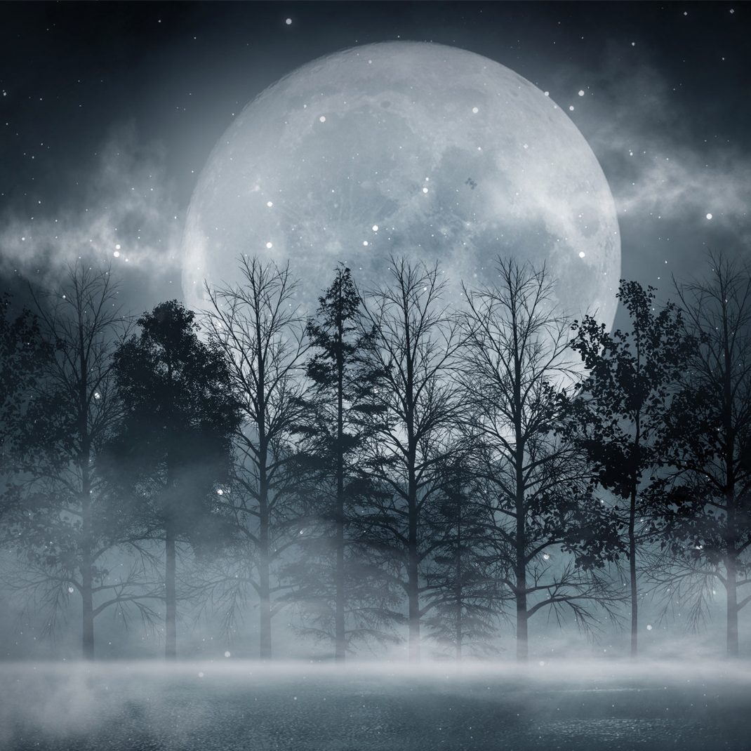 Night Moon over the Forest – Mysterious Modern Canvas Wall Art for Living Room and Bedroom