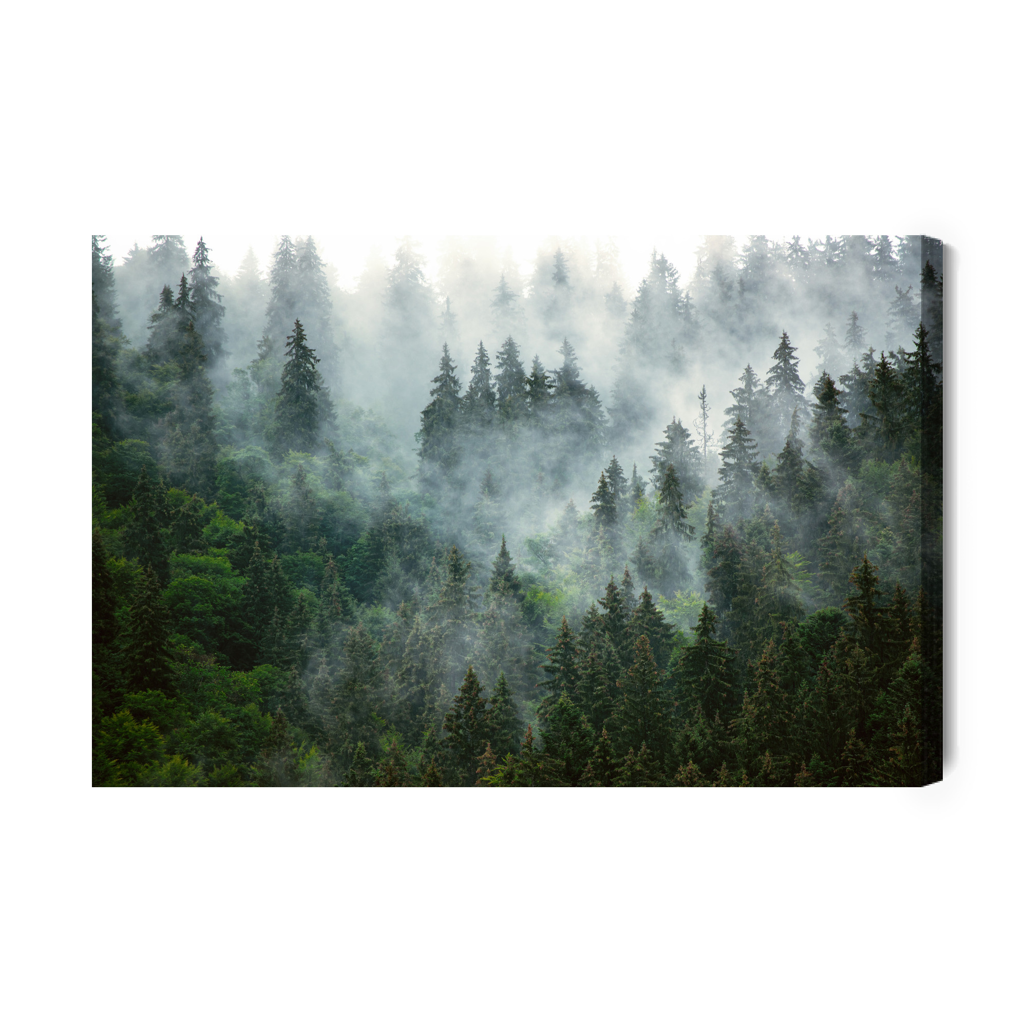 Forest Mist at Dawn – Modern Canvas Wall Art for Living Room and Bedroom - Image 2