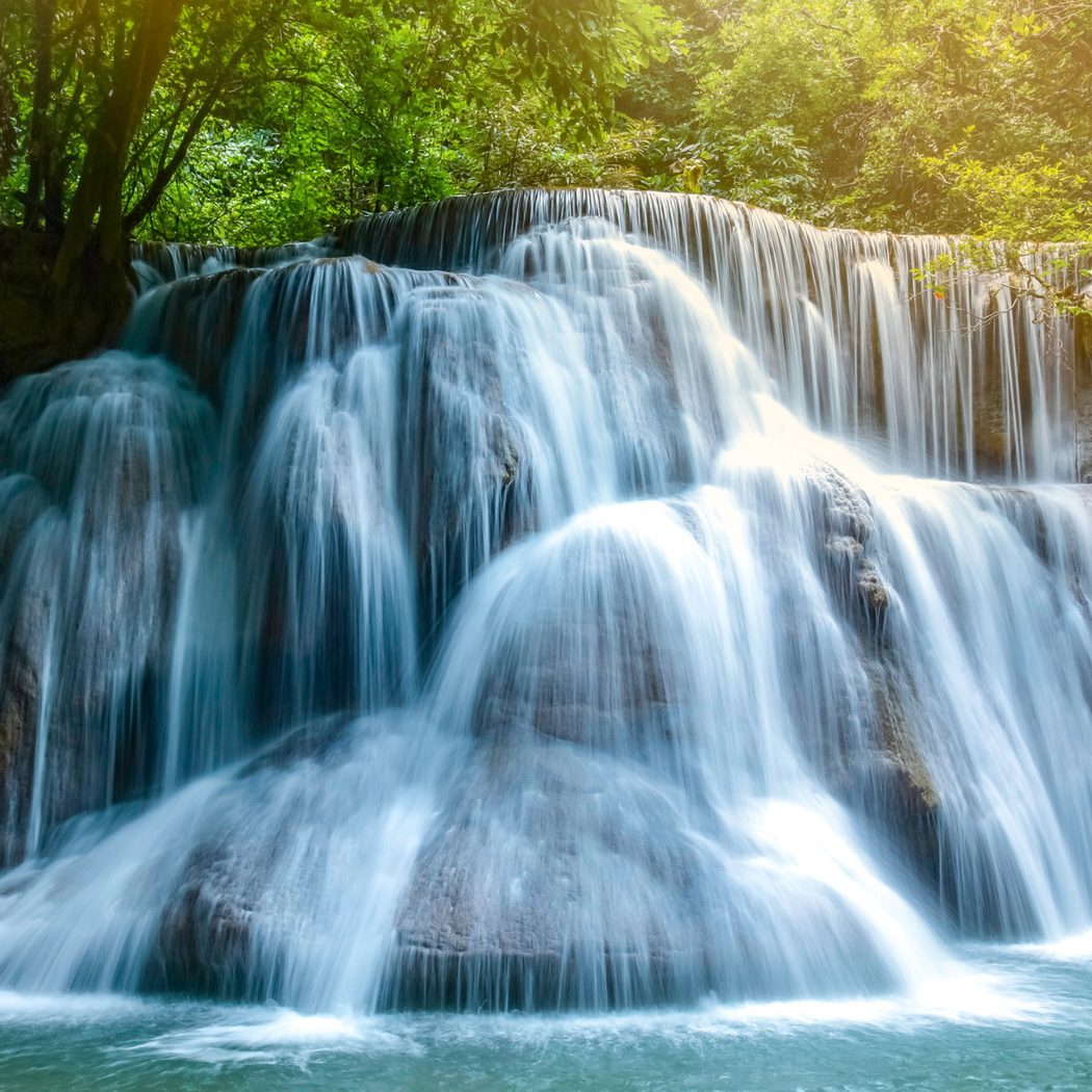 Sunlit forest waterfall – canvas print