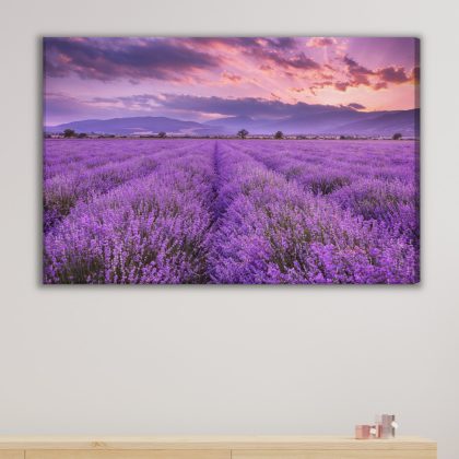 Canvas wall art: Lavender Fields at Sunset – romantic landscape for your living room