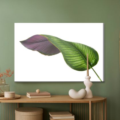 Obraz na płótnie liść kalatei w zieleni i fiolecie