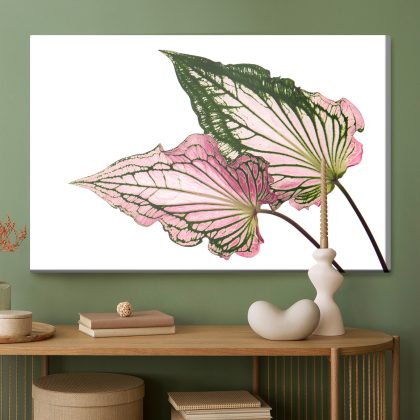Modern Canvas Print: Pink and Green Leaves – Perfect for the Living Room