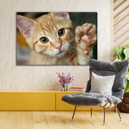 Canvas print Ginger kitten with a raised paw