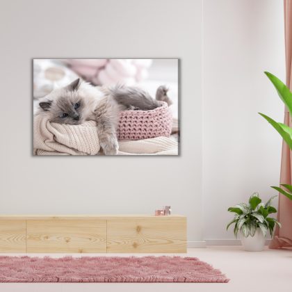 Canvas print cute kitten in pastels for living room