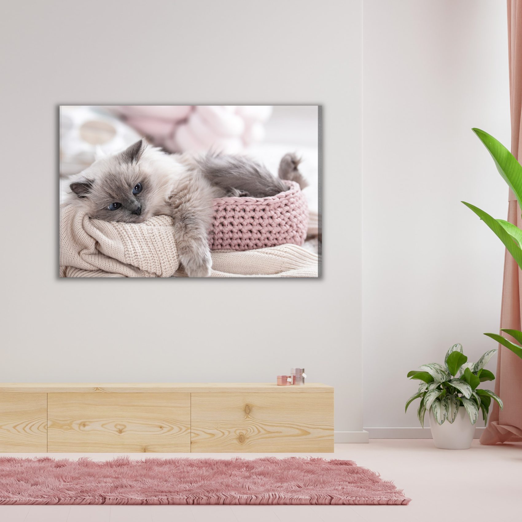 Canvas print cute kitten in pastels for living room