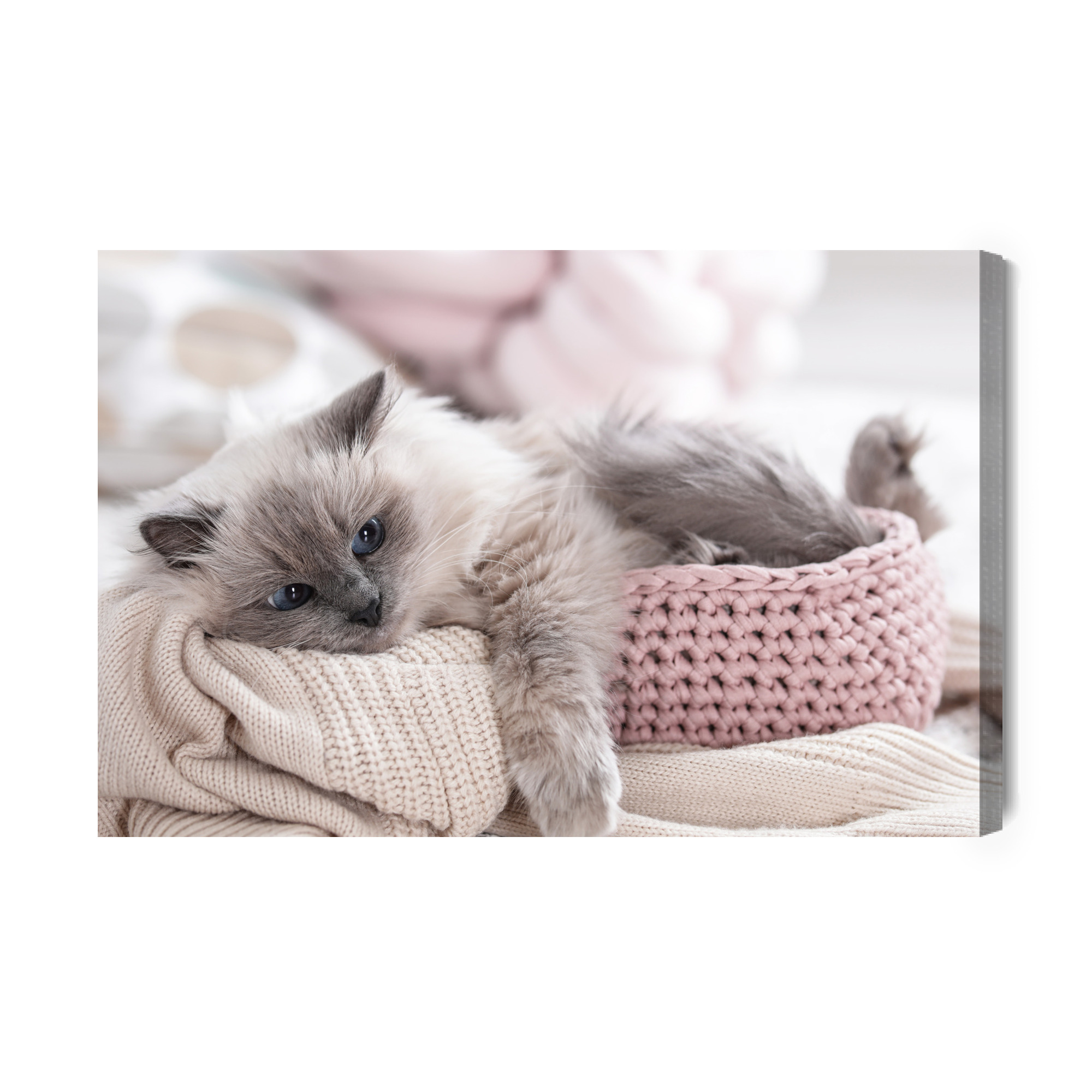 Canvas print cute kitten in pastels for living room - Image 2