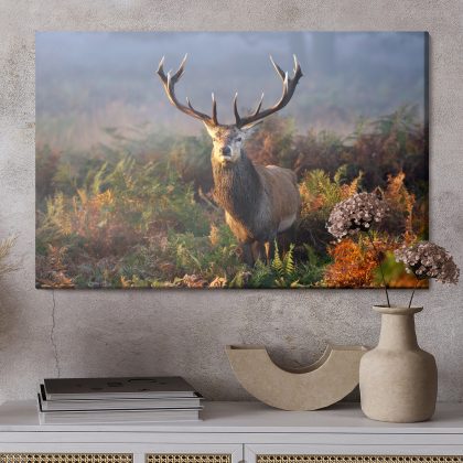 Canvas wall art Deer in Morning Mist – elegant living room decoration