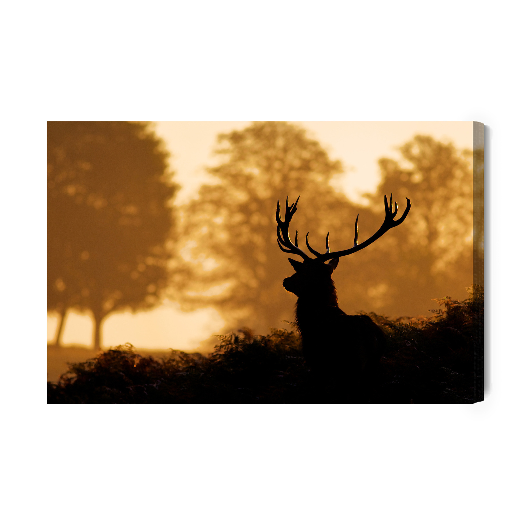 Canvas wall art: Deer silhouette at sunset – mood for the living room - Image 2