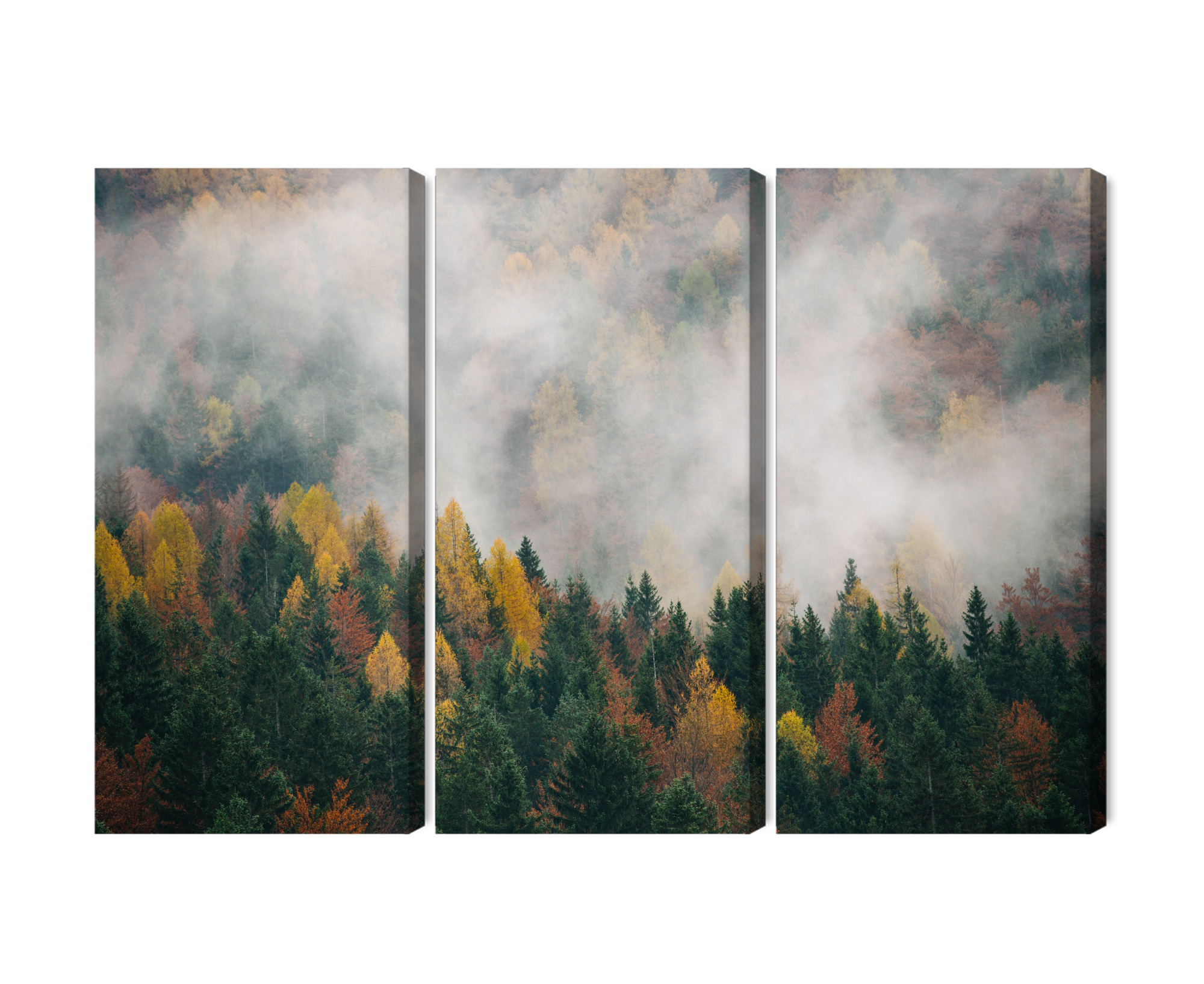 Autumn Forest in Mist – Triptych Canvas Wall Art - Image 2