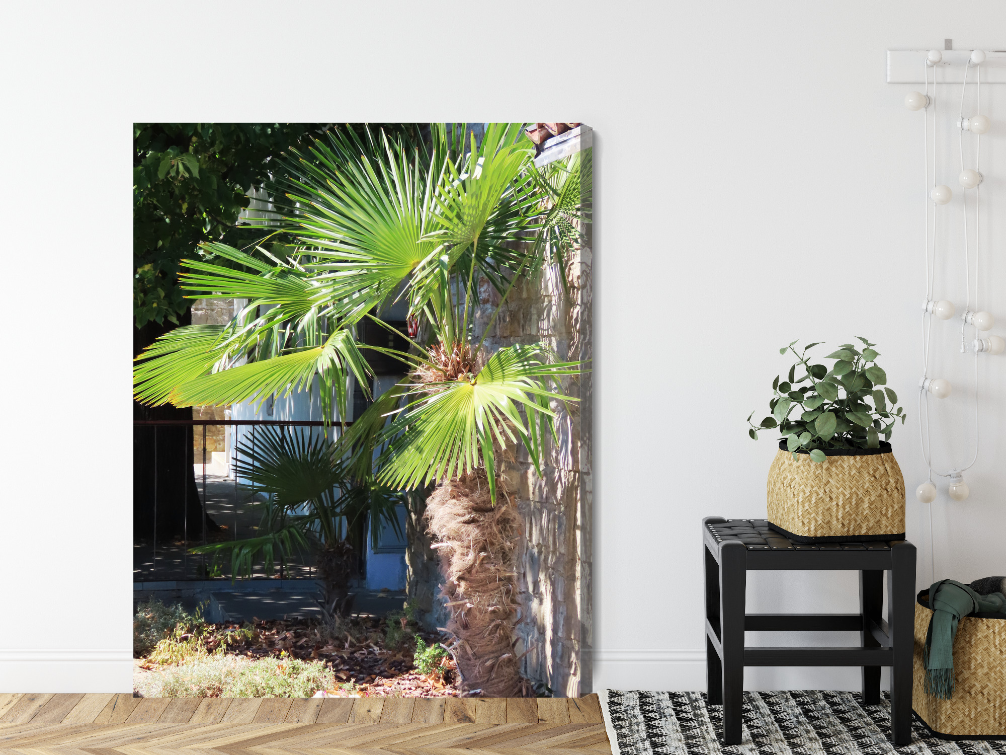 Tropical Palm by a Stone Wall – canvas print for living room - Image 9