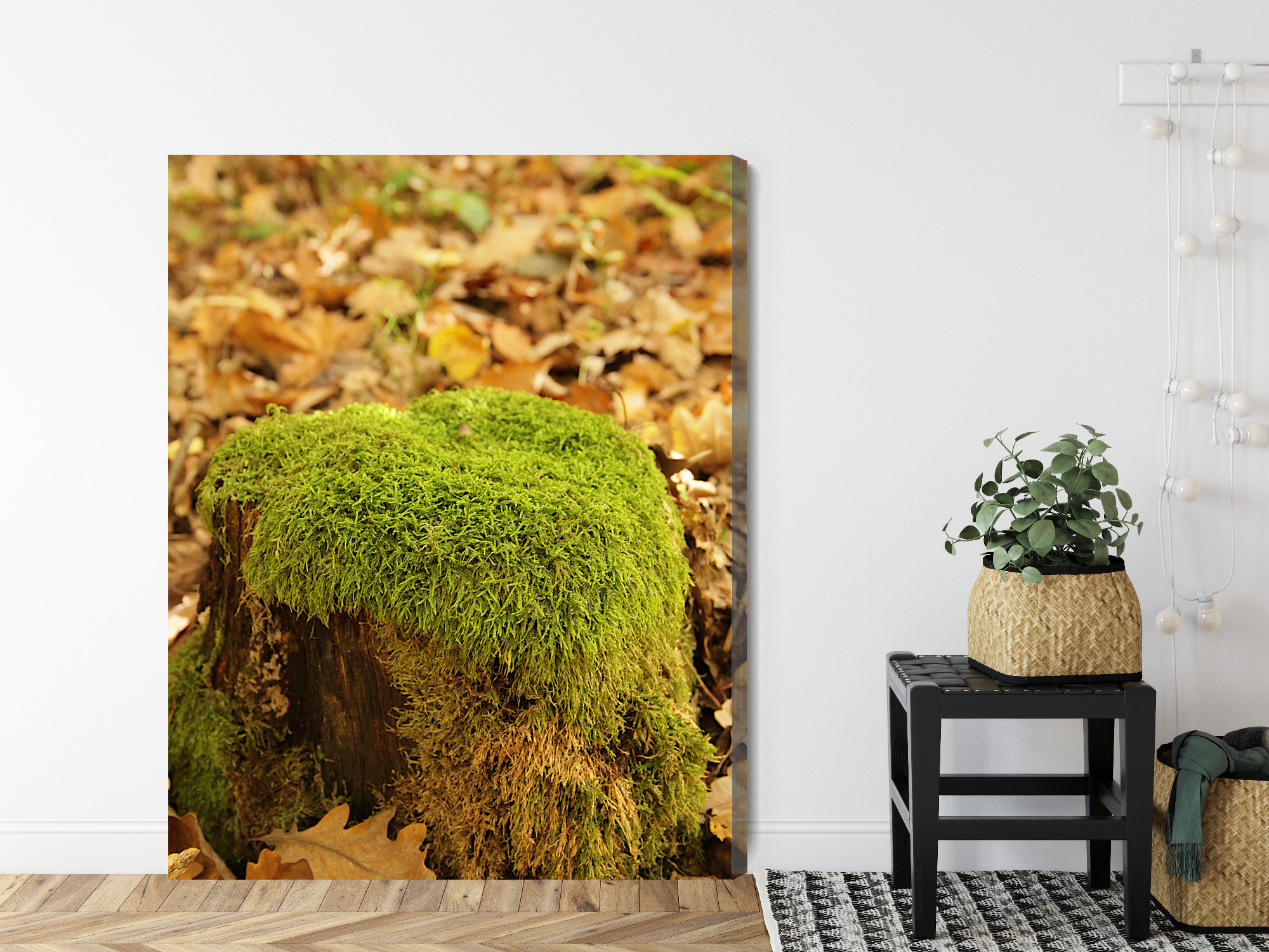 Natural Canvas Print: Moss on a Stump – for living room & bedroom - Image 9