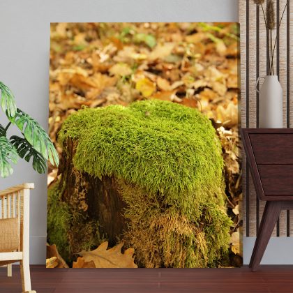Natural Canvas Print: Moss on a Stump – for living room & bedroom