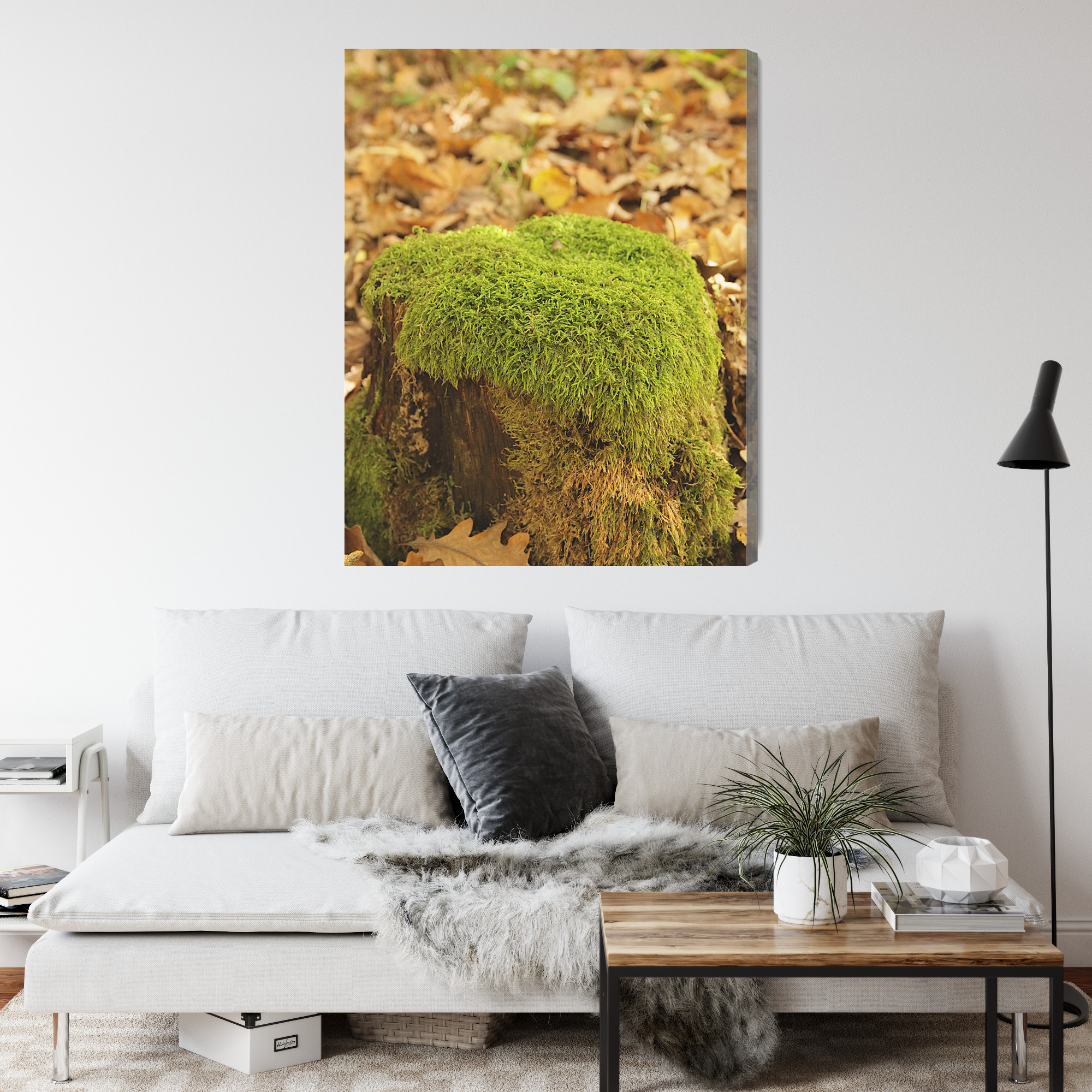 Natural Canvas Print: Moss on a Stump – for living room & bedroom - Image 5