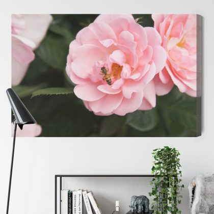 Romantic Canvas Print: Pastel Flower with Bee – for living room & bedroom