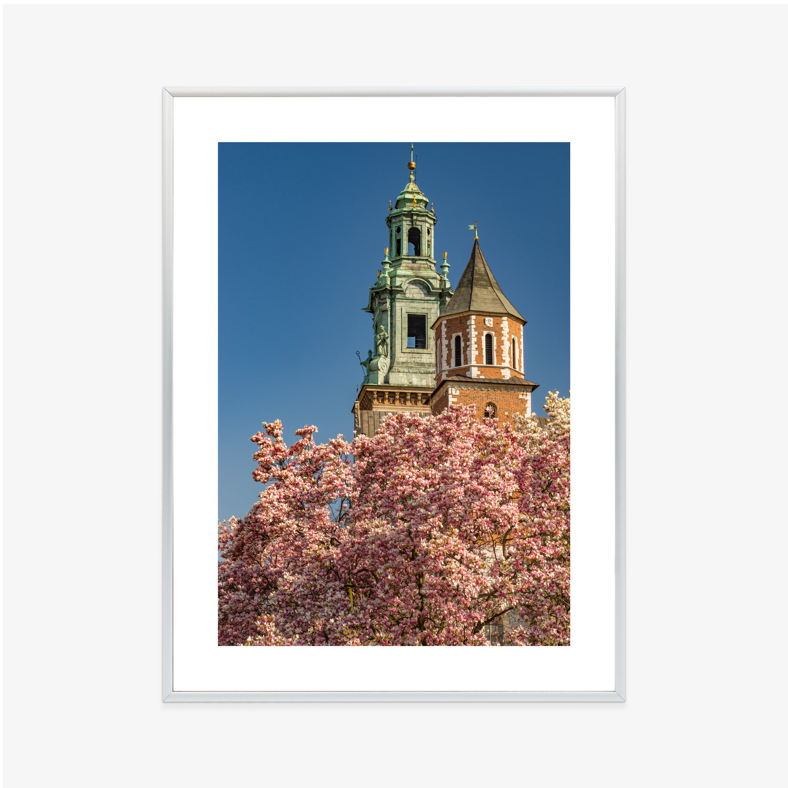 Poster Krakow: Wawel among blooming magnolias - Image 12