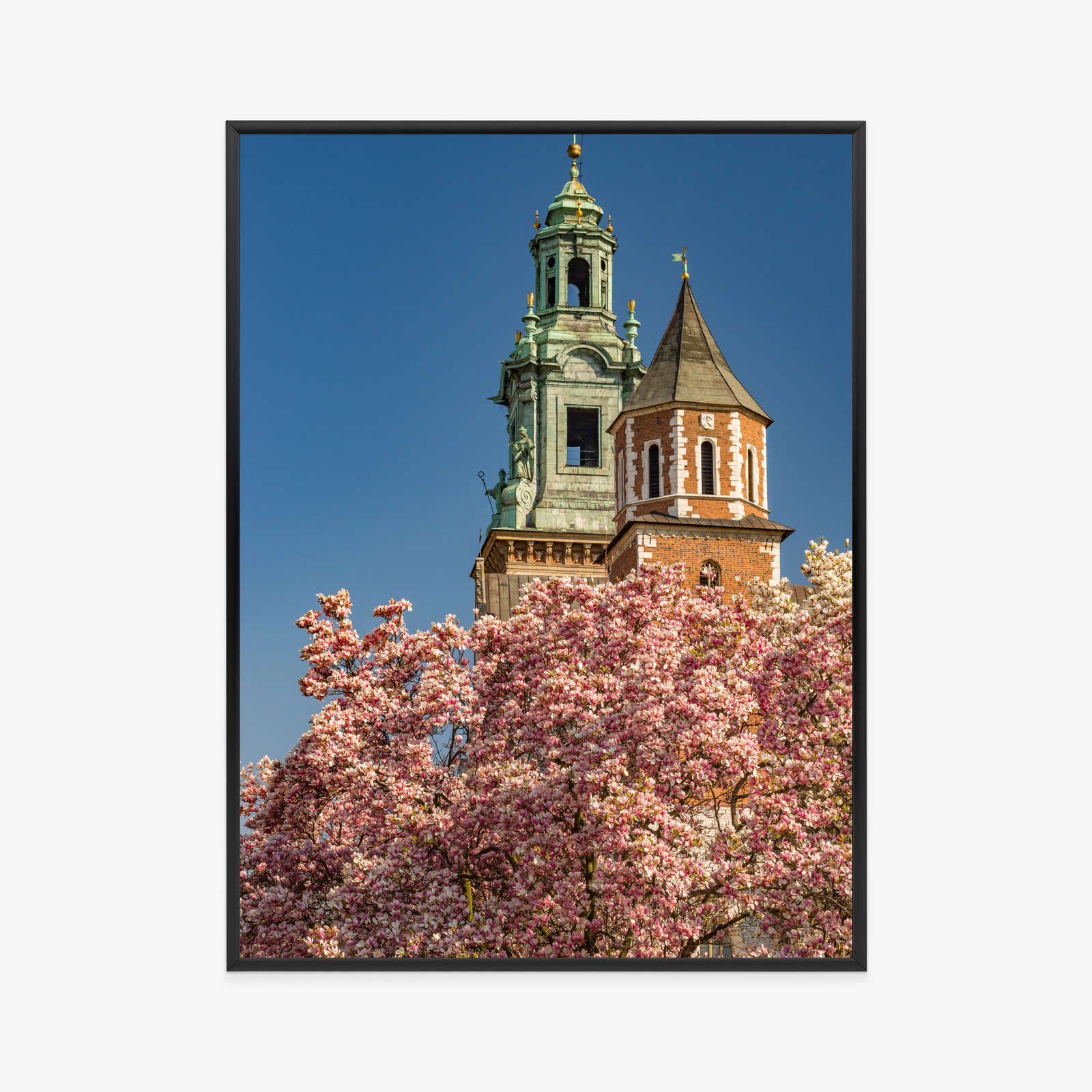Poster Krakow: Wawel among blooming magnolias - Image 9