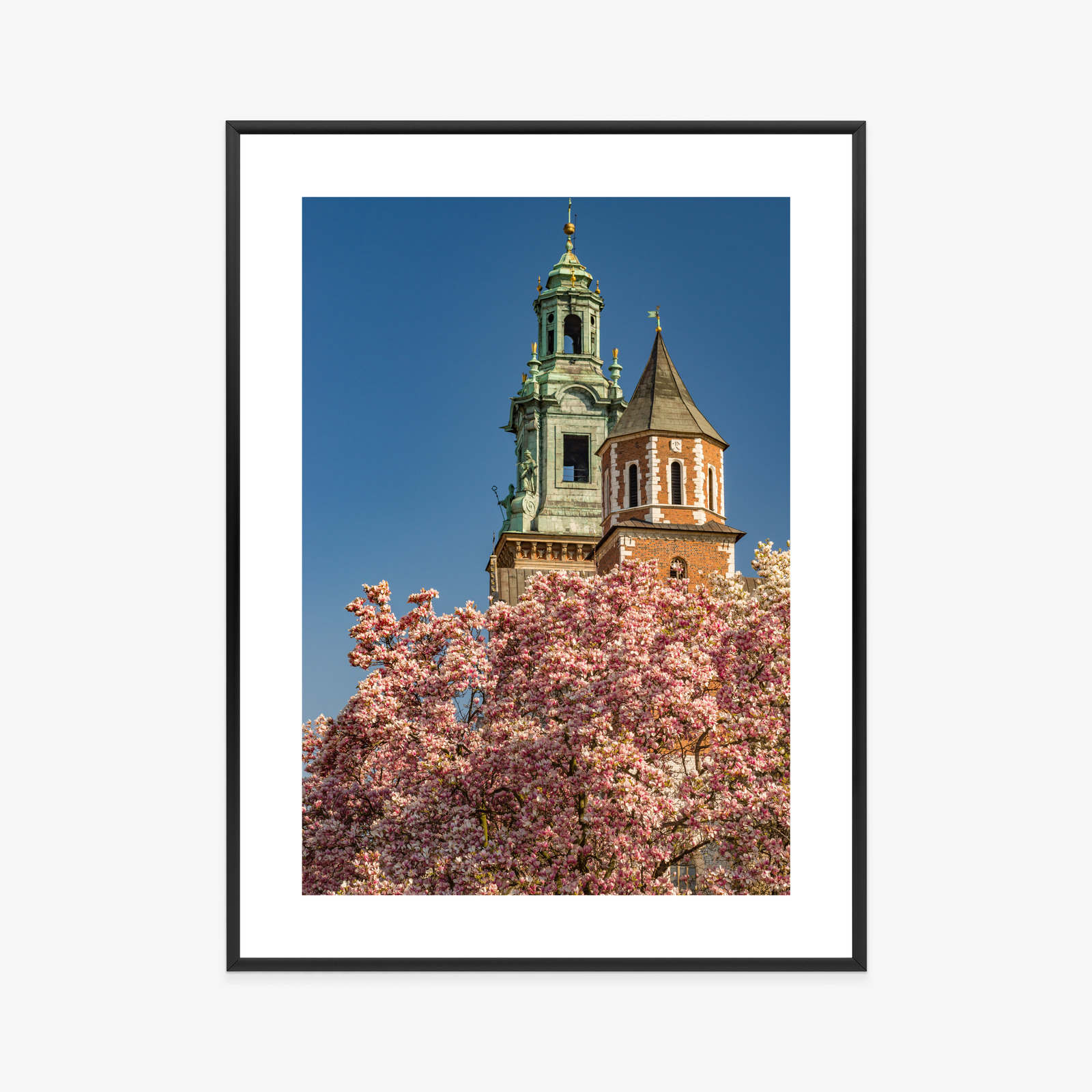 Poster Krakow: Wawel among blooming magnolias - Image 11