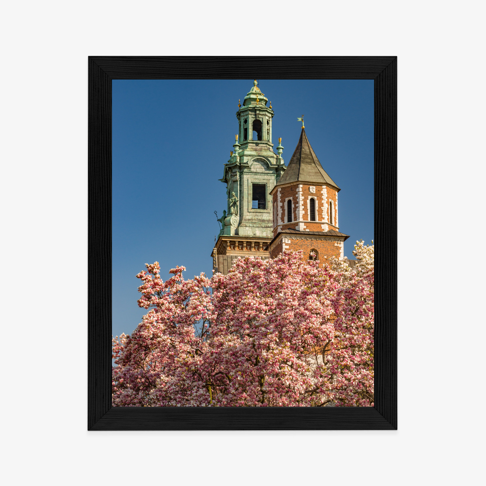 Poster Krakow: Wawel among blooming magnolias - Image 14
