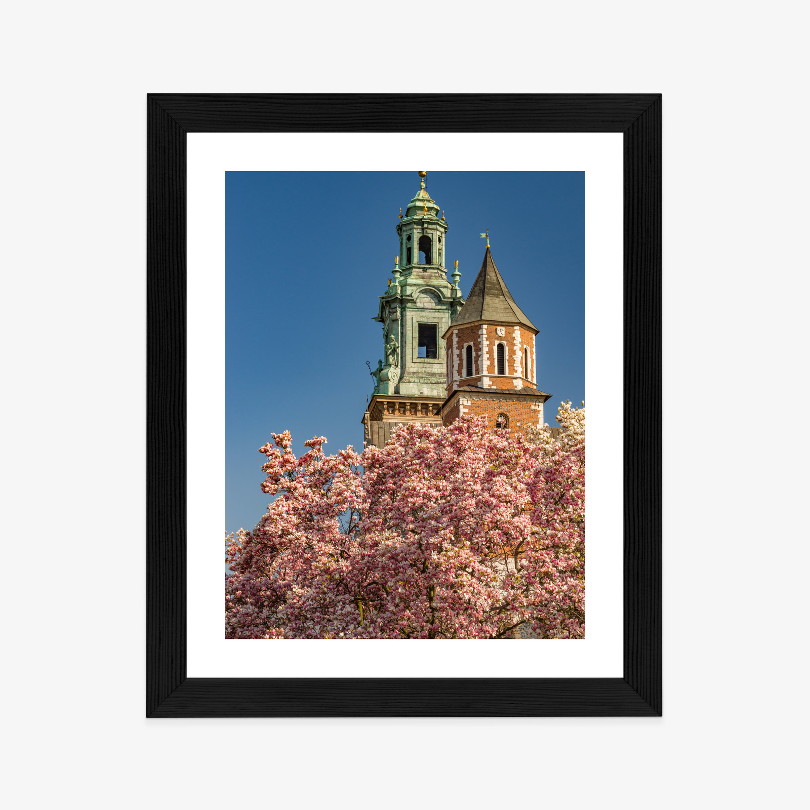 Poster Krakow: Wawel among blooming magnolias - Image 16