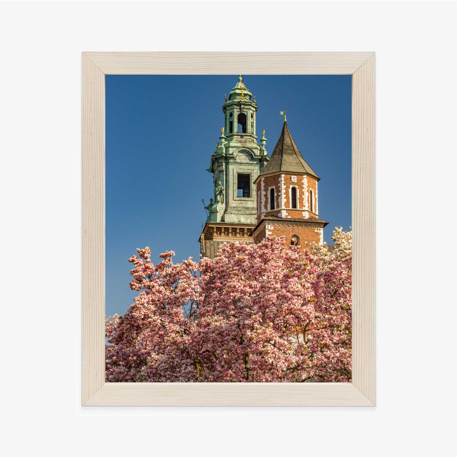 Poster Krakow: Wawel among blooming magnolias - Image 17