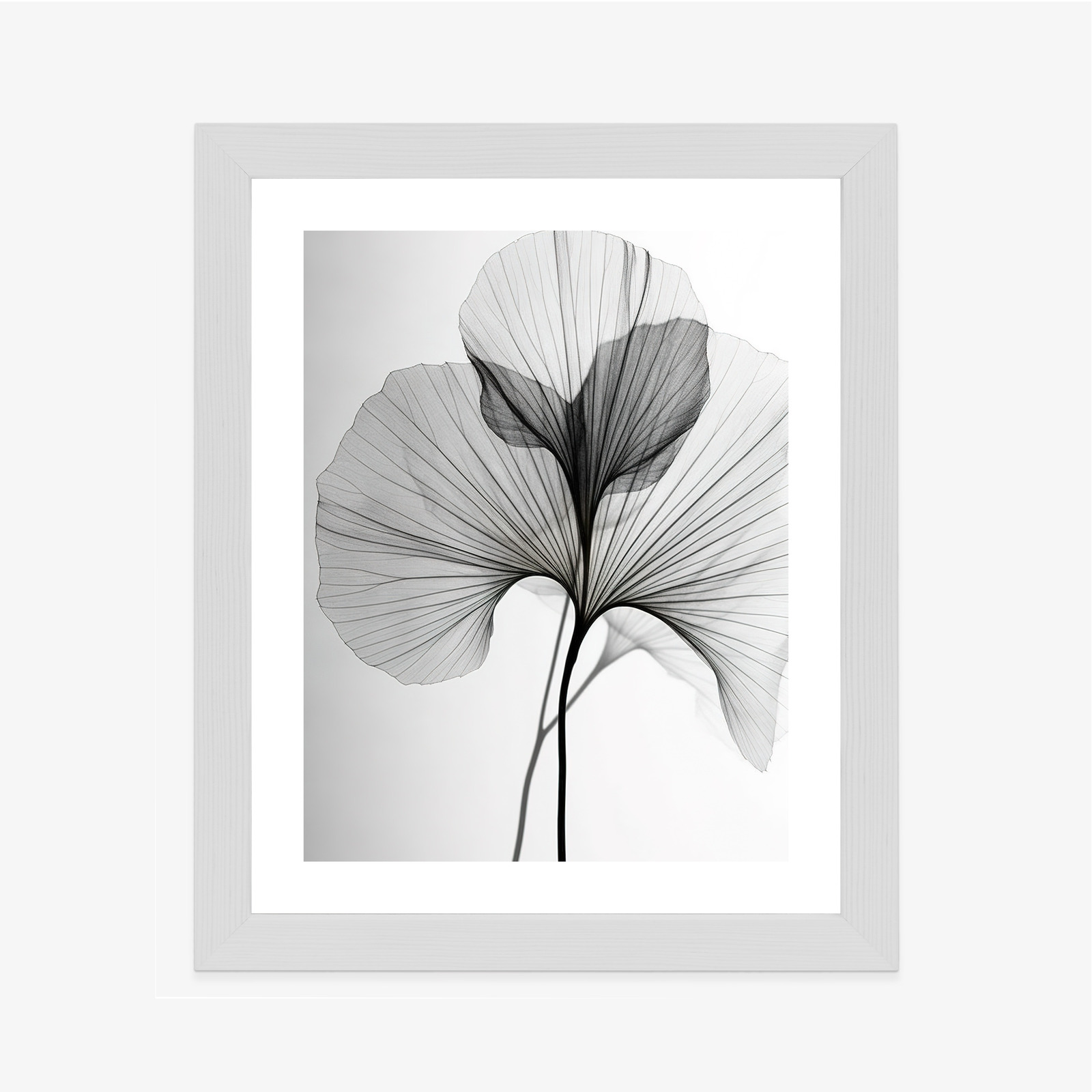 Minimalistický plakát černobílý list ginkgo - Image 10