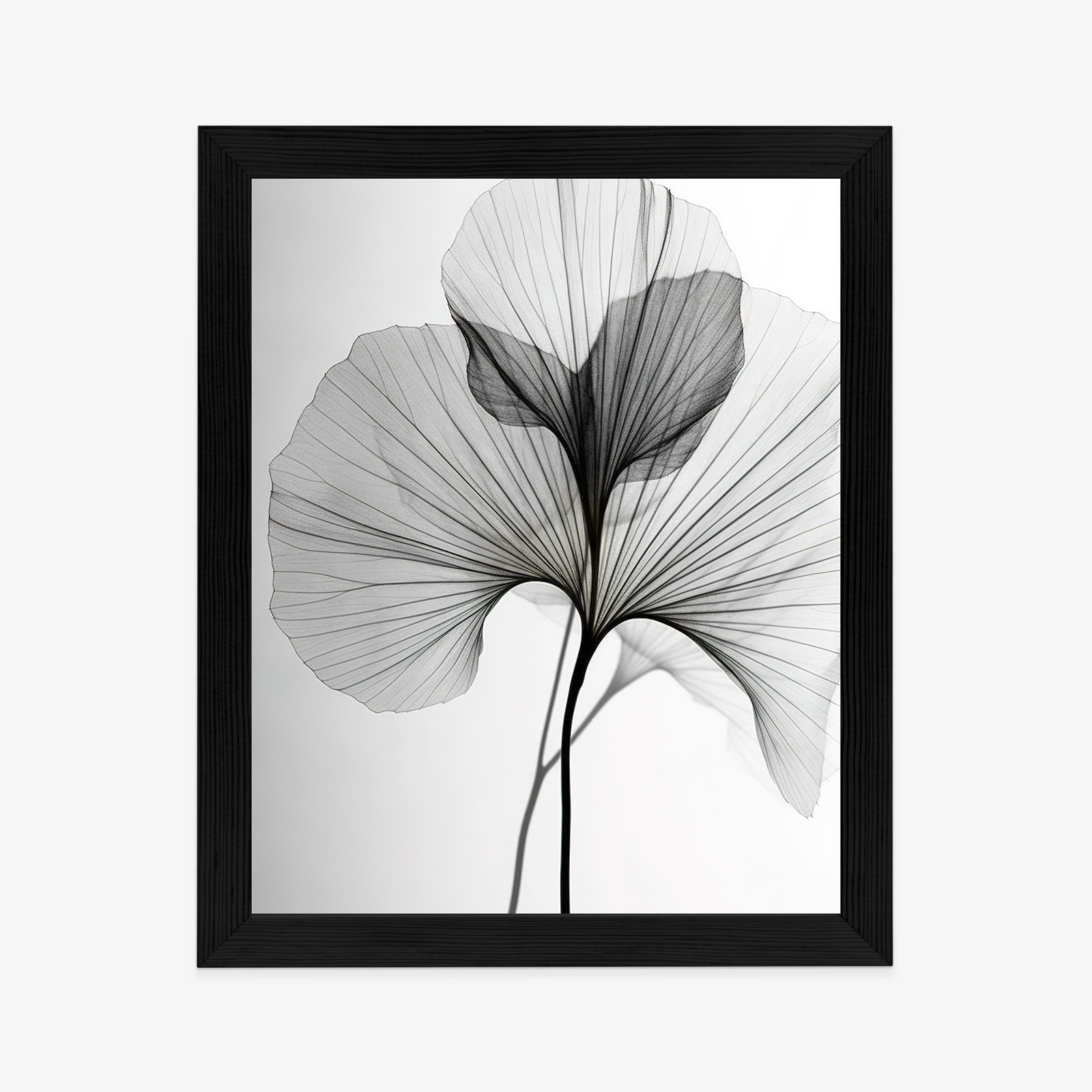 Minimalistický plakát černobílý list ginkgo - Image 11