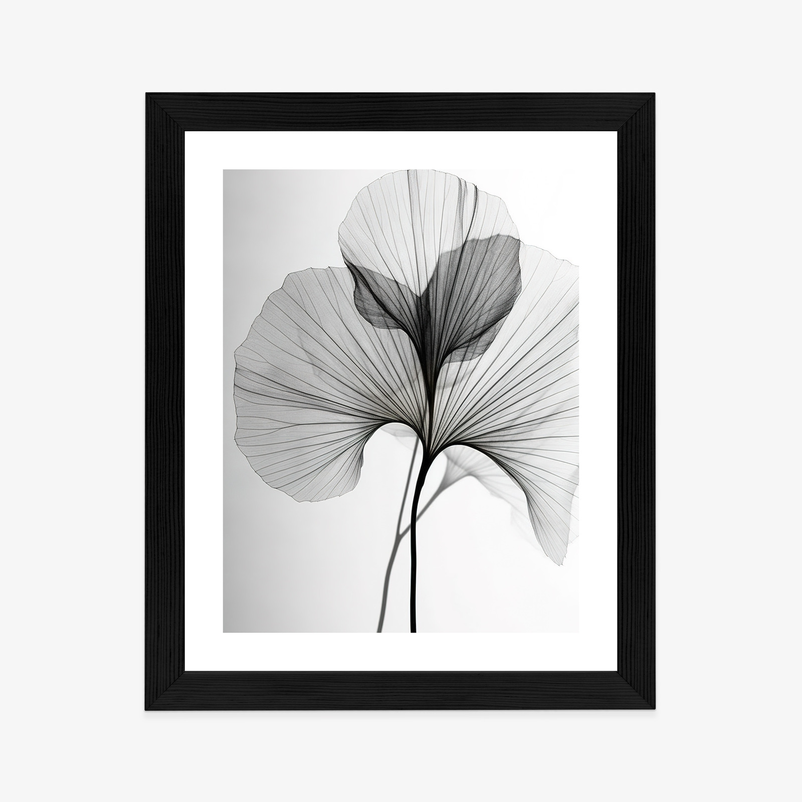 Minimalistický plakát černobílý list ginkgo - Image 9