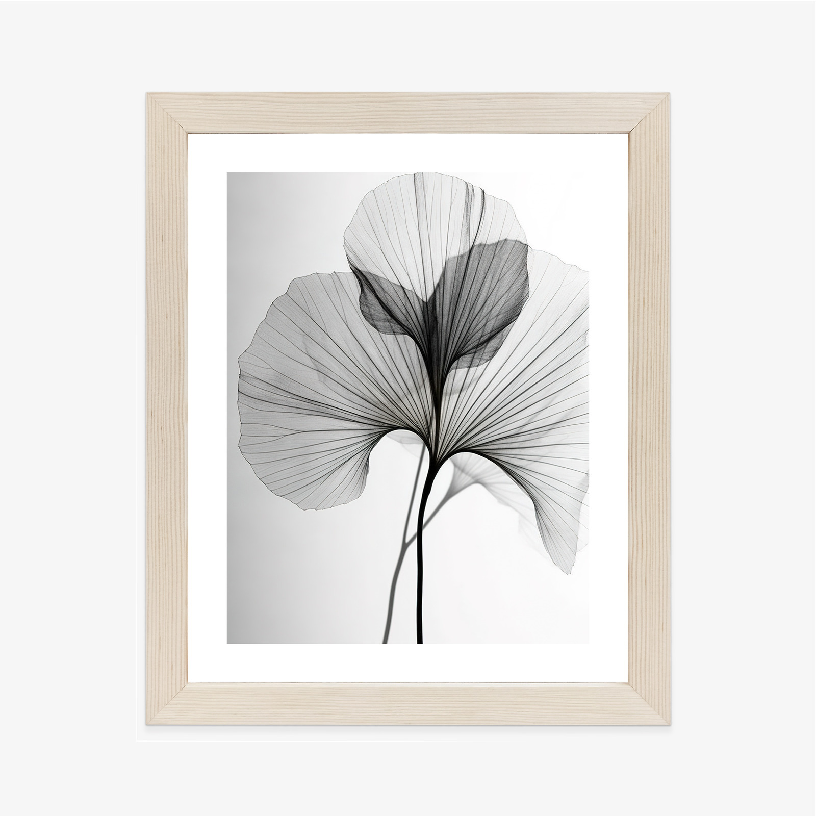 Minimalistický plakát černobílý list ginkgo - Image 8