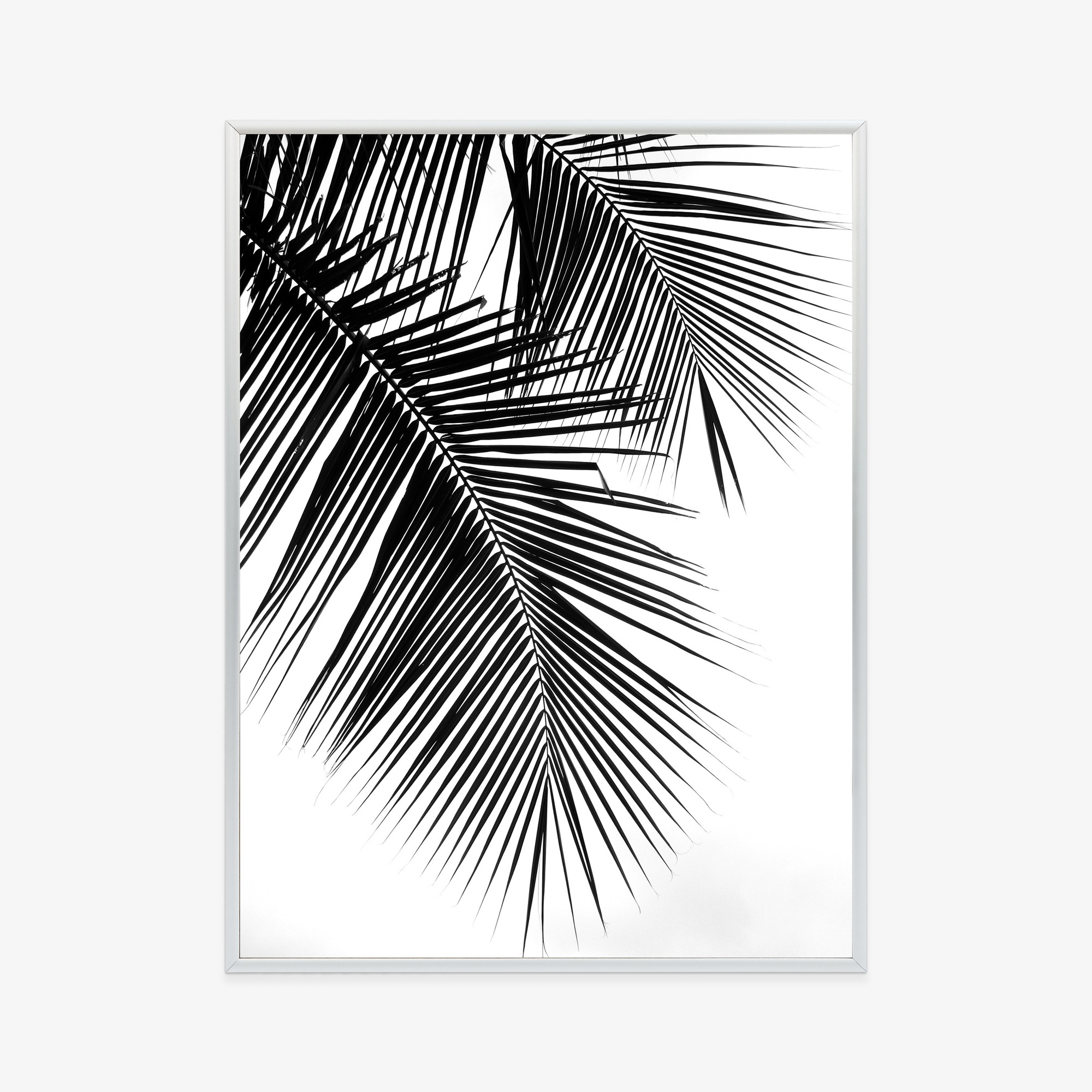 Black and White Palm Leaves Poster - Image 16