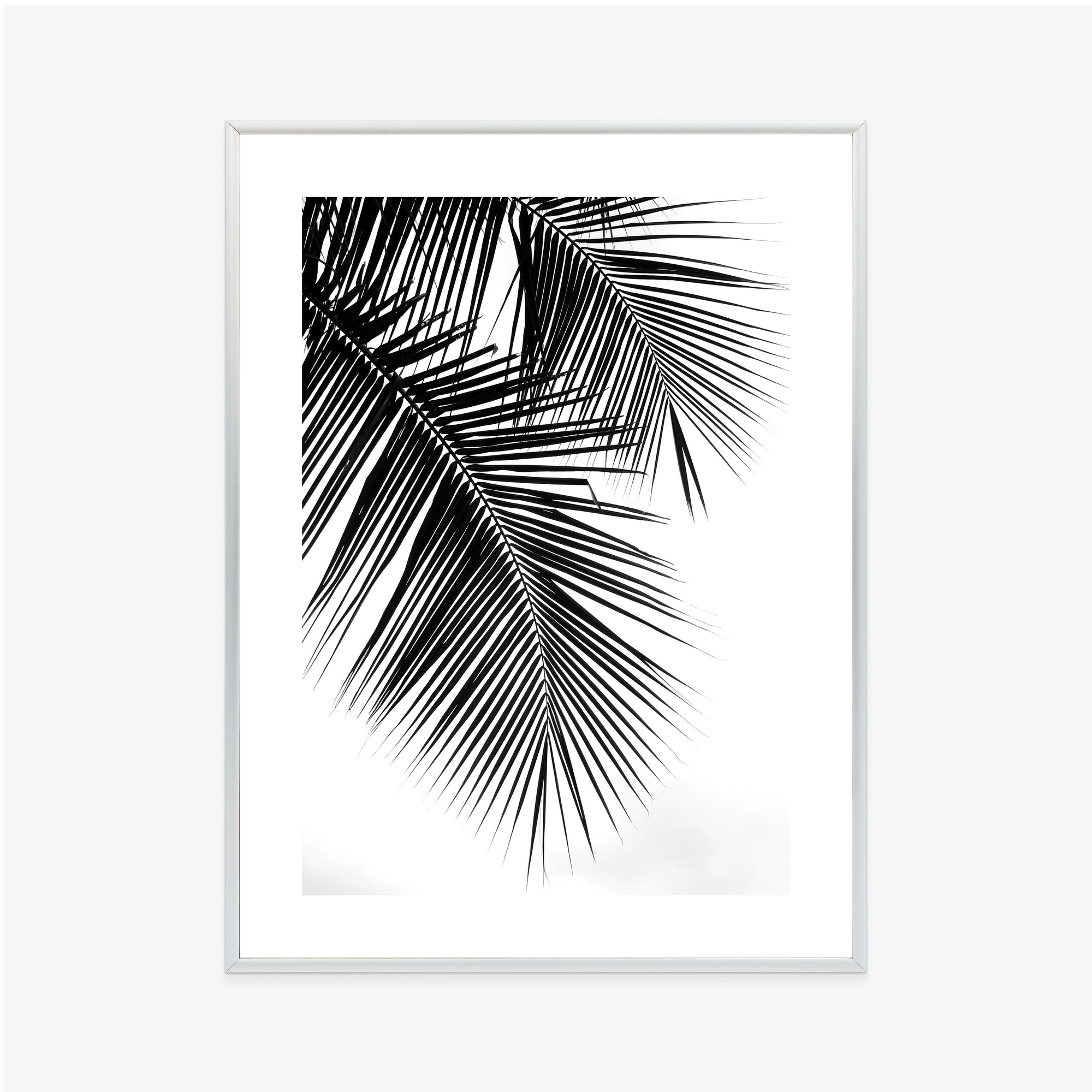 Black and White Palm Leaves Poster - Image 14