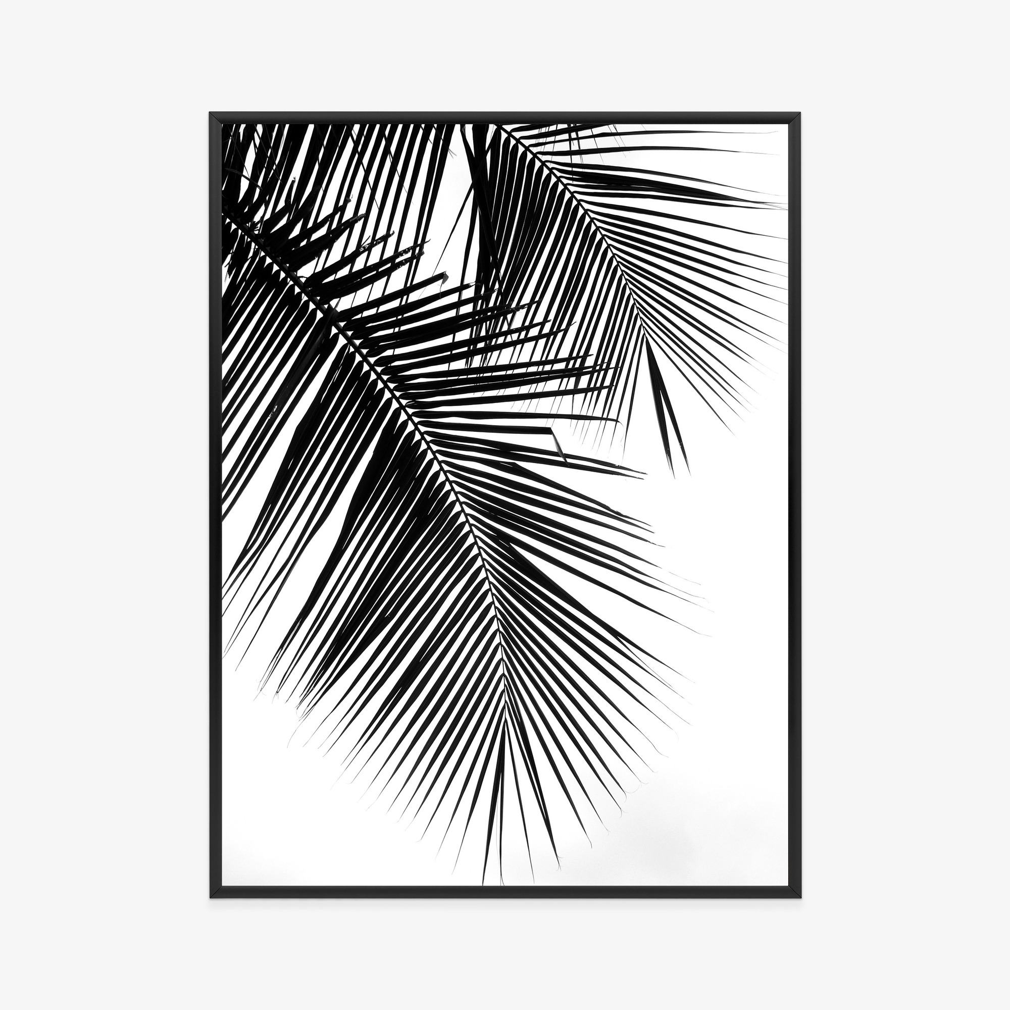 Black and White Palm Leaves Poster - Image 17