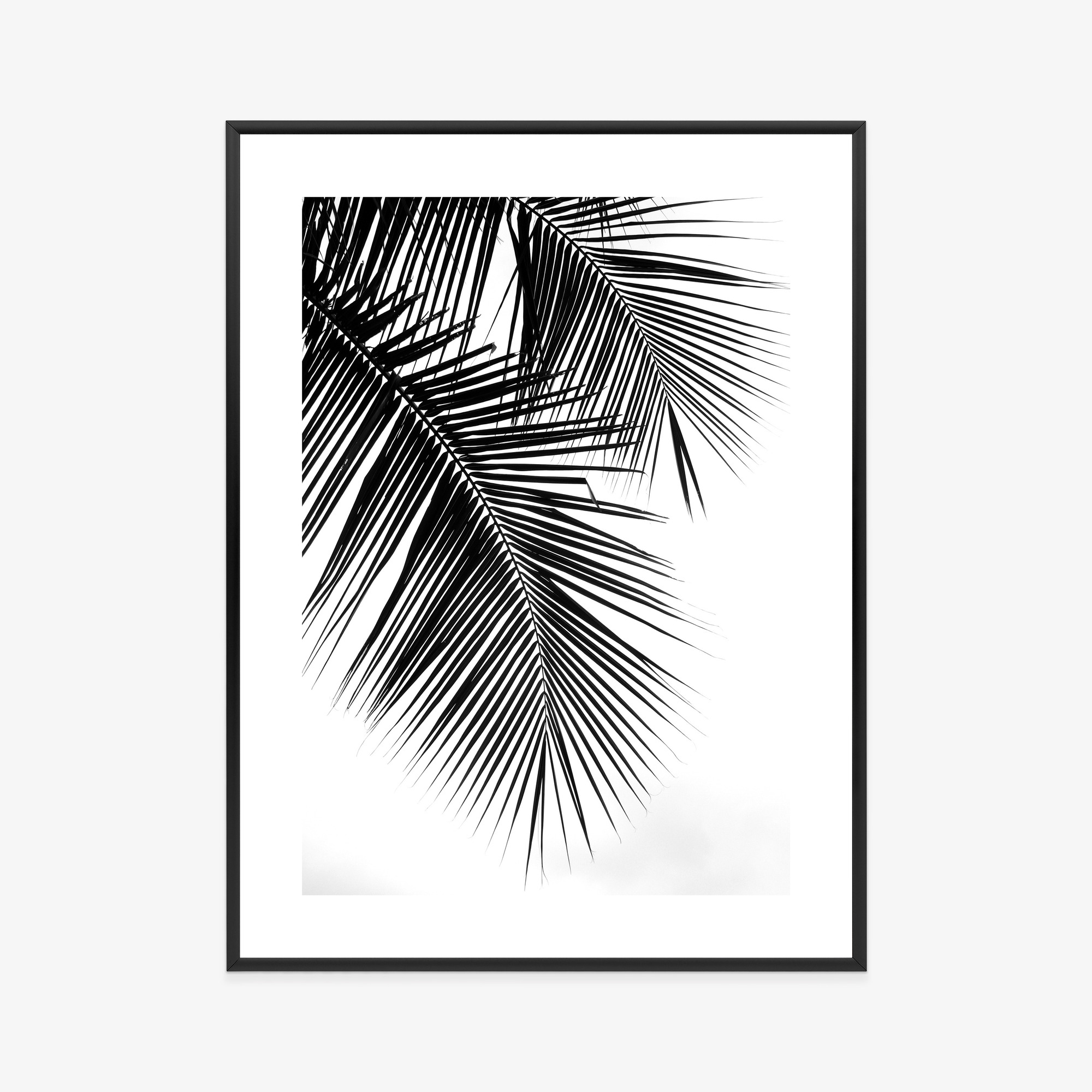 Black and White Palm Leaves Poster - Image 15