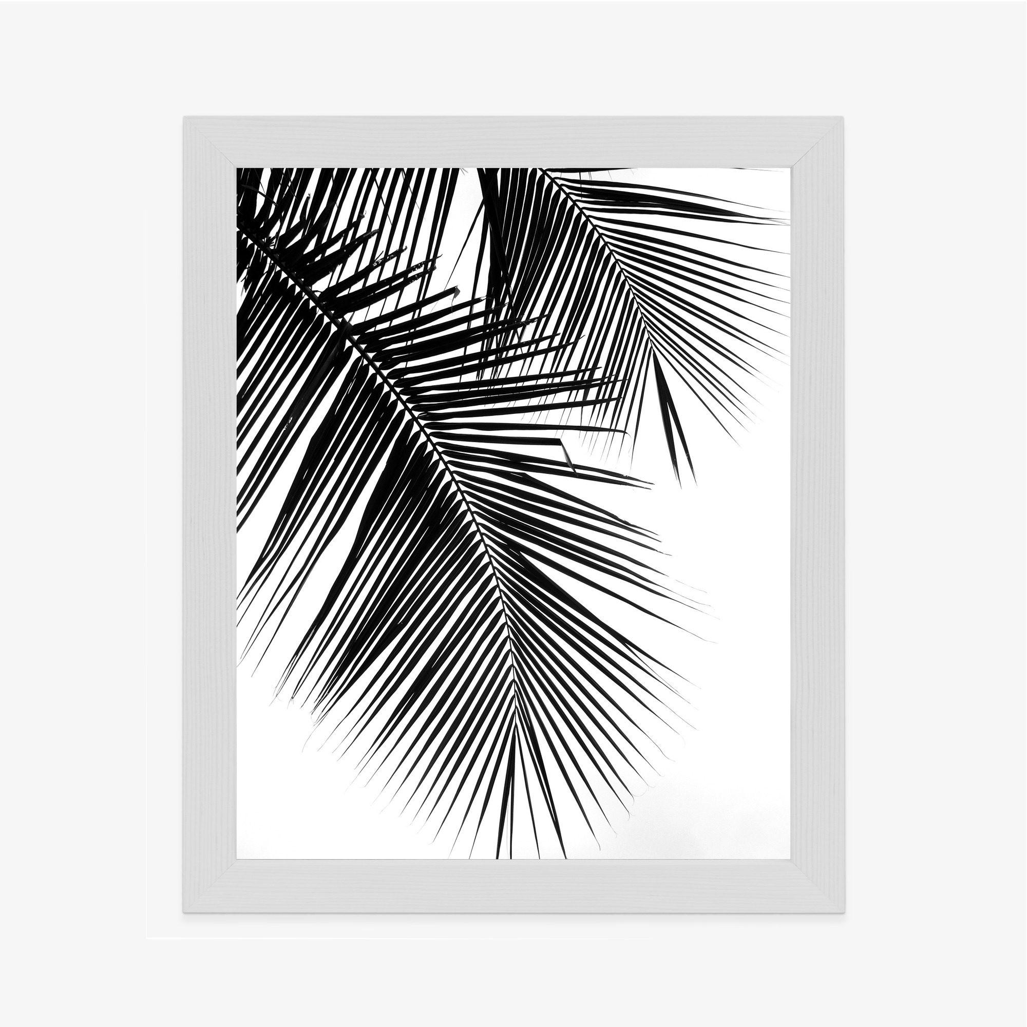 Black and White Palm Leaves Poster - Image 13