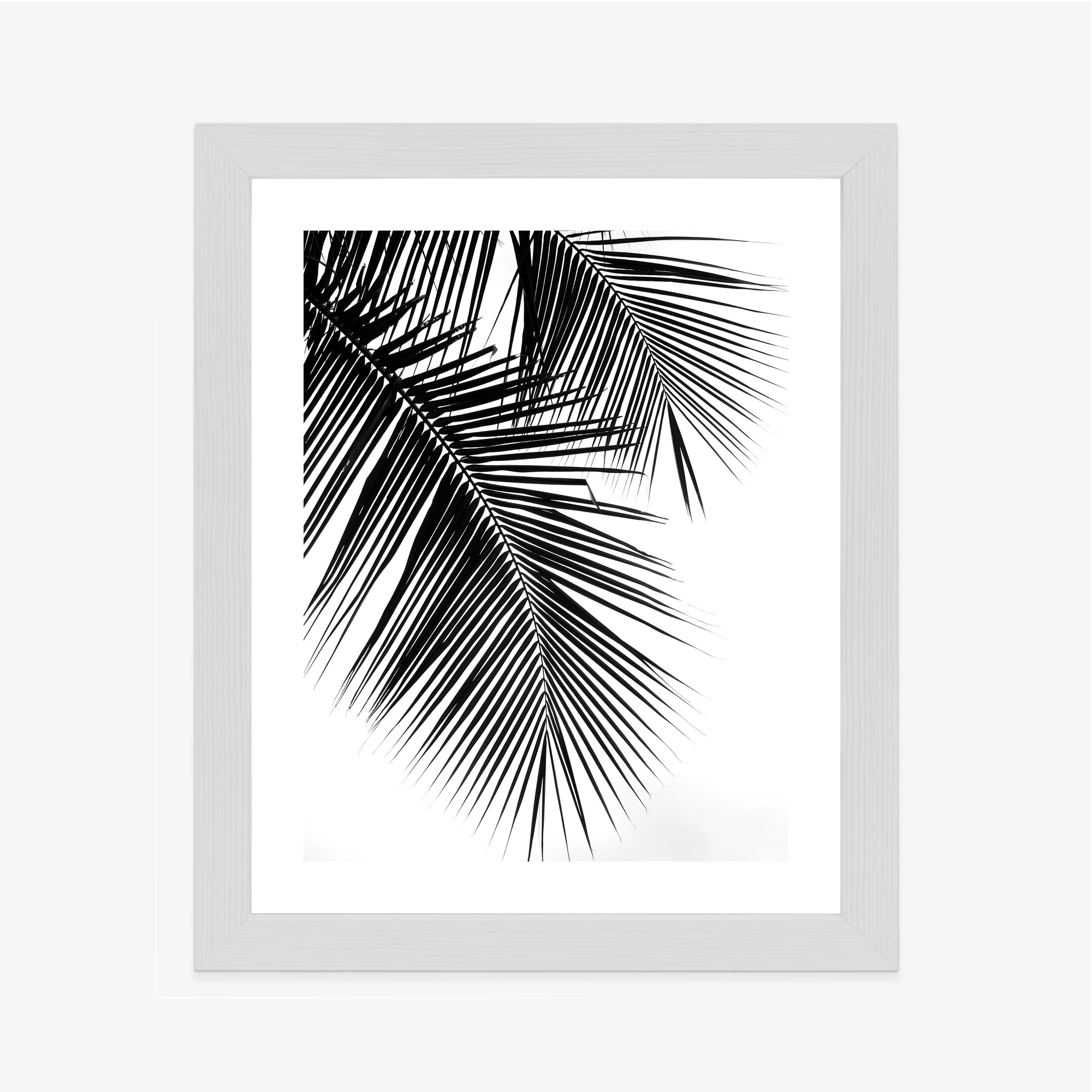 Black and White Palm Leaves Poster - Image 11