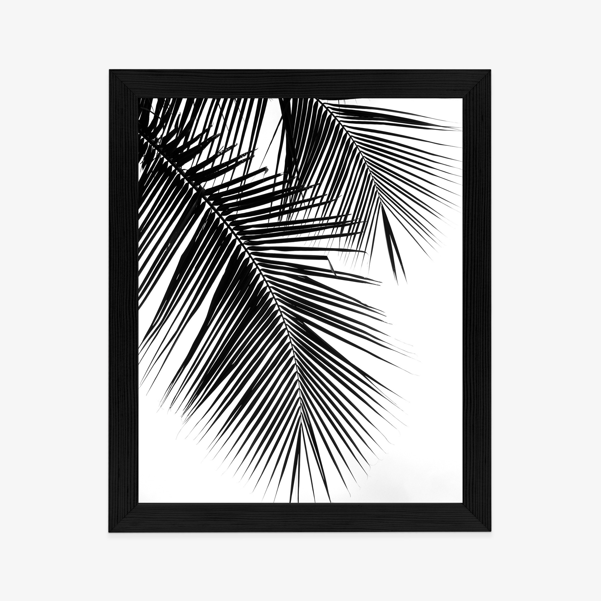 Black and White Palm Leaves Poster - Image 12