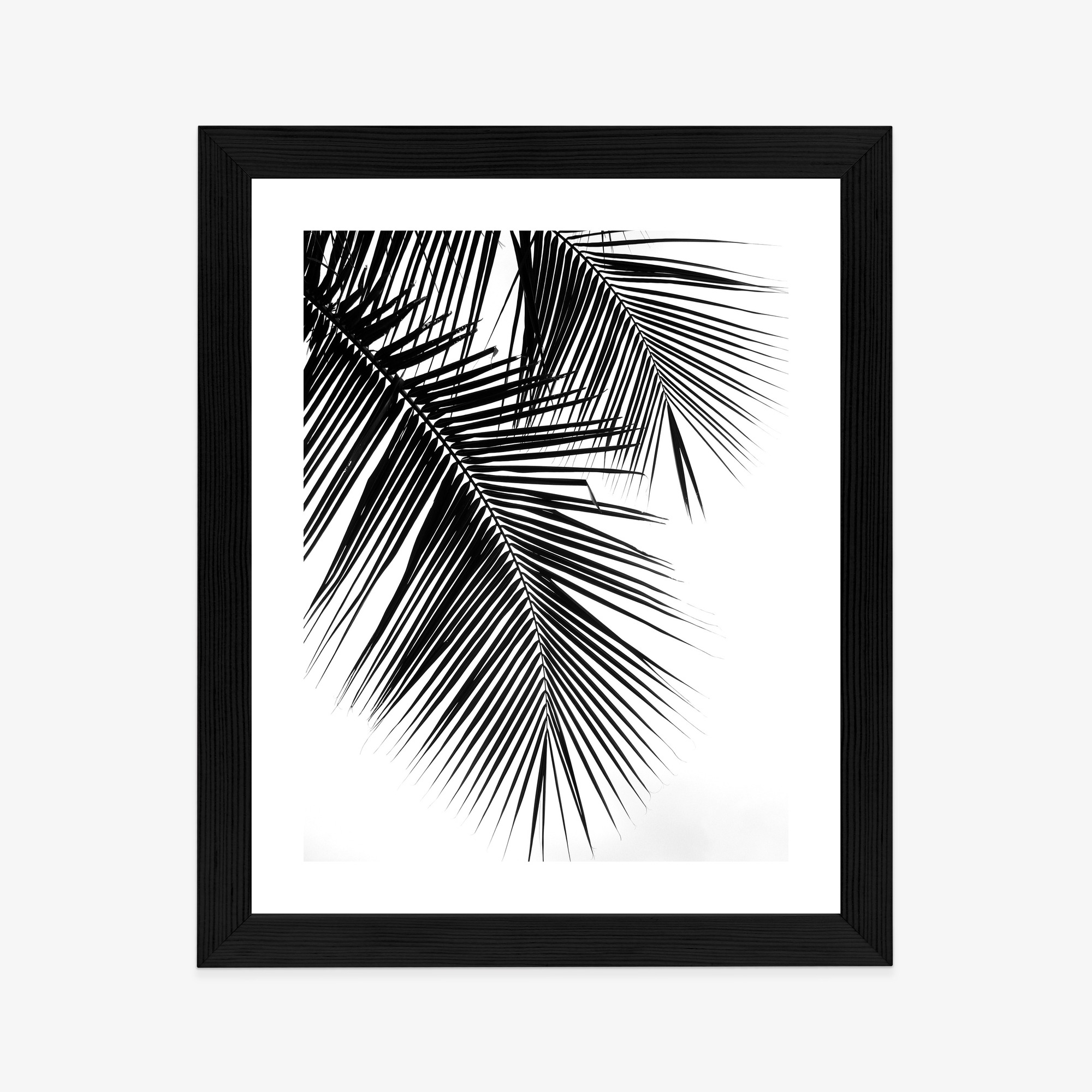 Black and White Palm Leaves Poster - Image 10