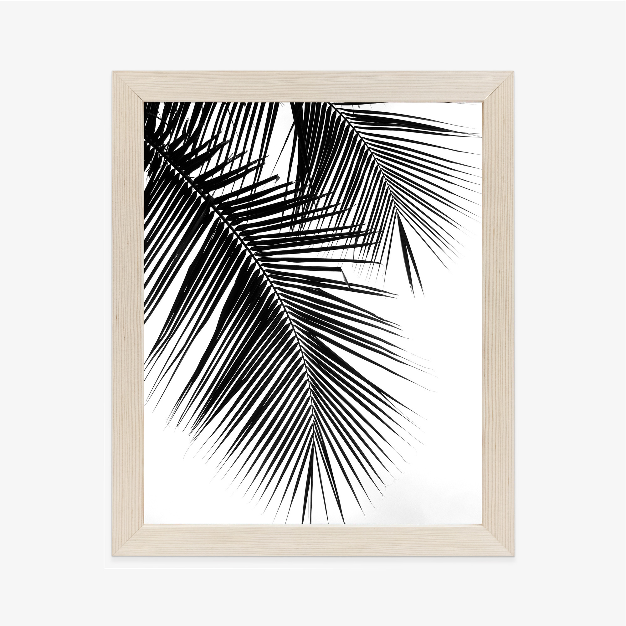 Black and White Palm Leaves Poster - Image 9