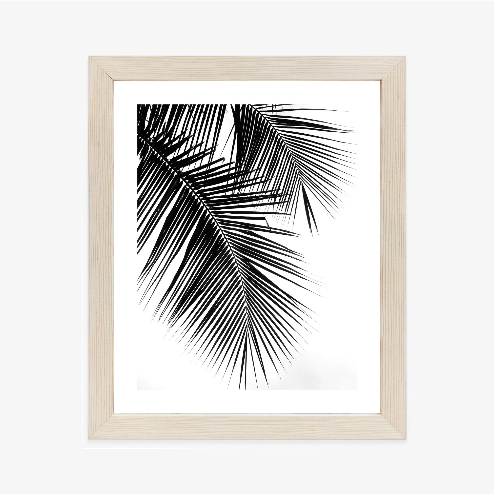 Black and White Palm Leaves Poster - Image 8