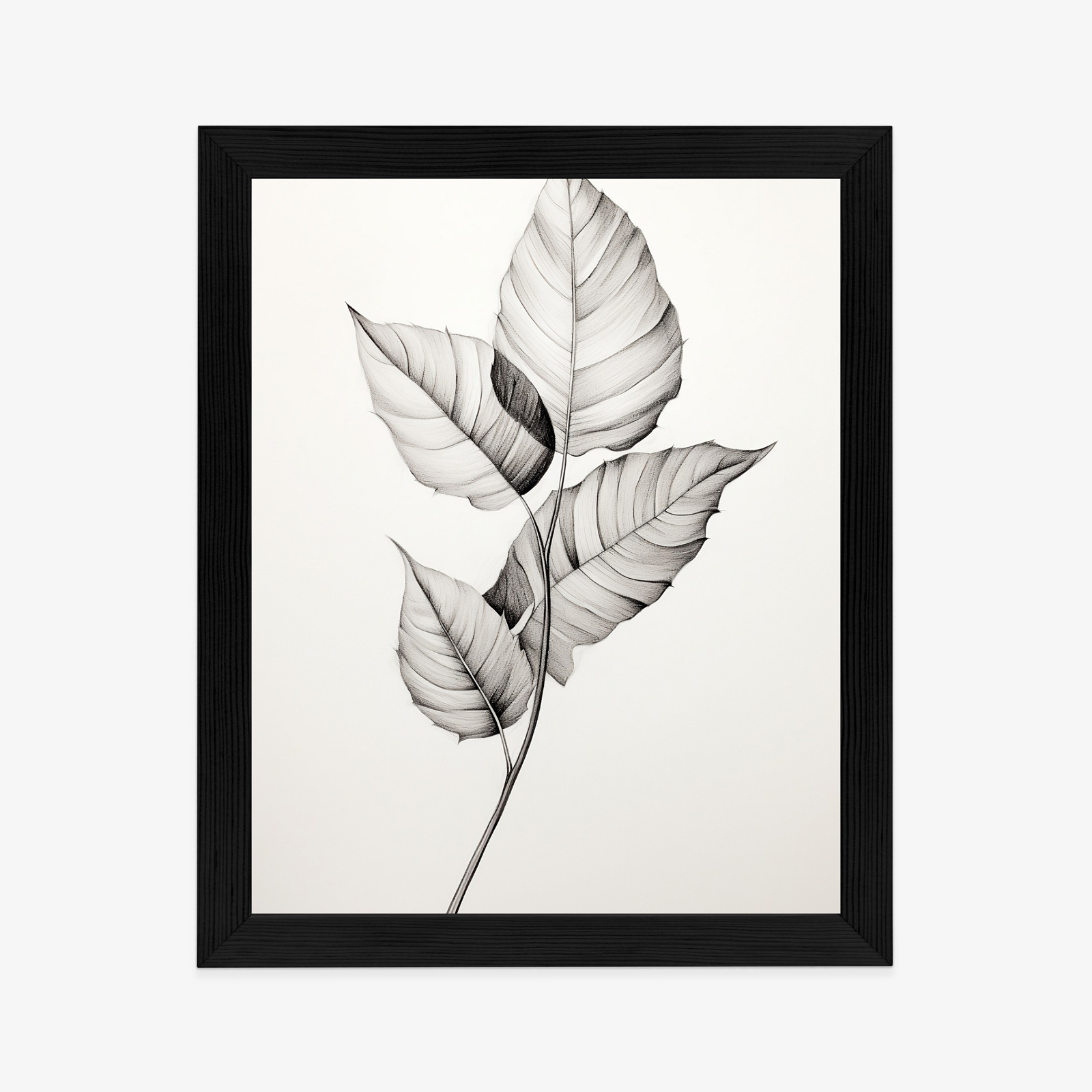 Black and white leaf drawing poster, style and harmony - Image 12