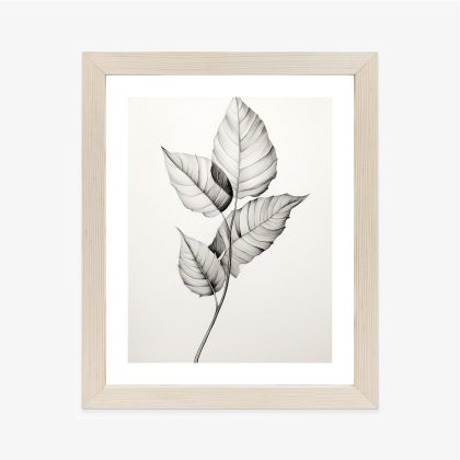 Black and white leaf drawing poster, style and harmony