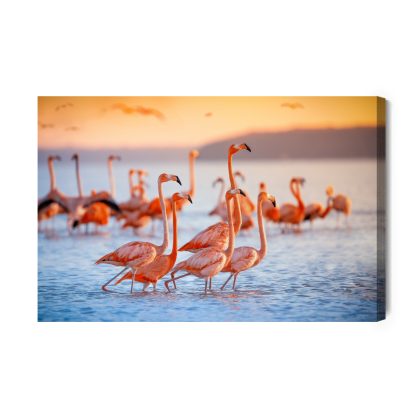 Canvas wall art flamingos in the glow of sunset