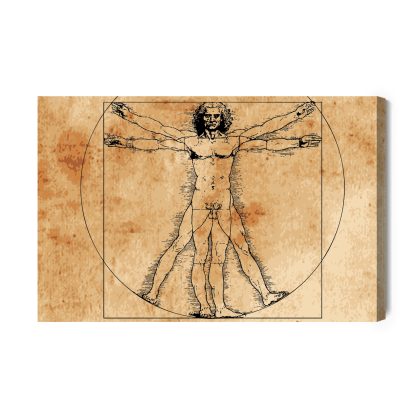 Canvas print Vitruvian Man da Vinci style