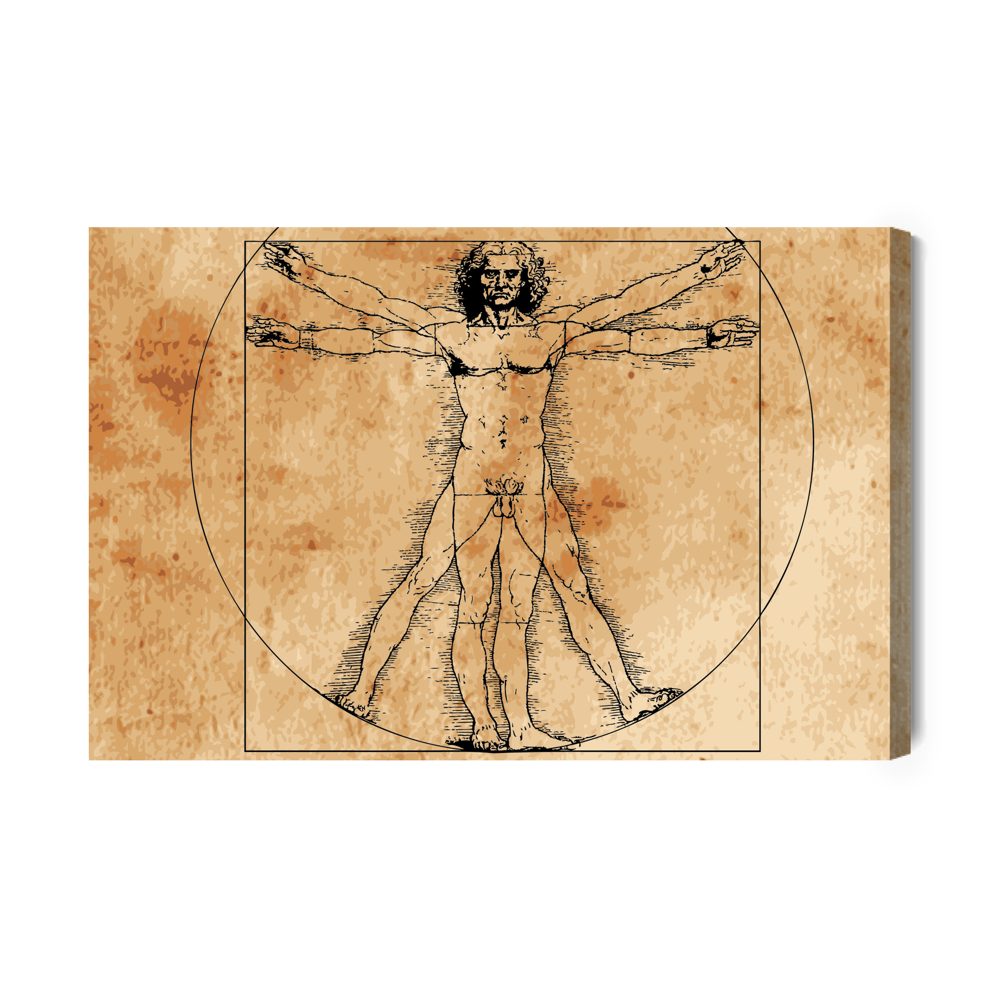 Canvas print Vitruvian Man da Vinci style