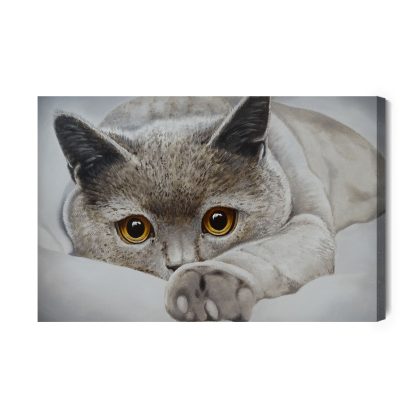Canvas Print Cat with Hypnotic Gaze