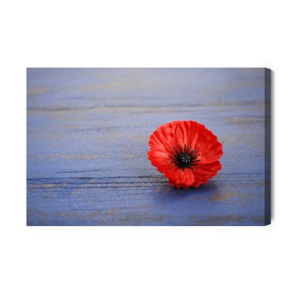 Leinwandbild Roter Mohn auf blauem Hintergrund