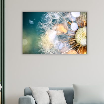 Pusteblume im sanften Licht. Leinwandbild